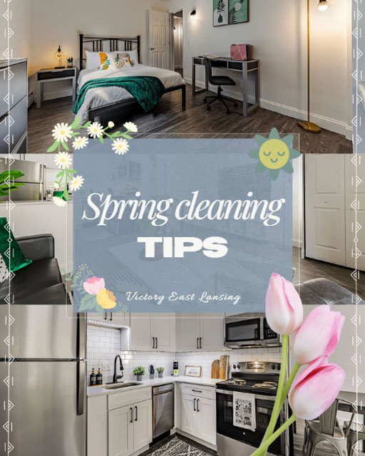 msu student housing options