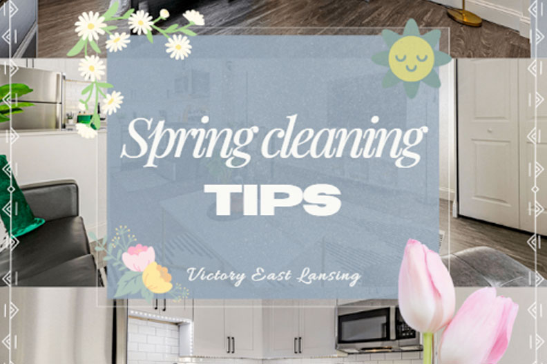 msu student housing options